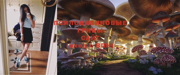 спайс Медногорск