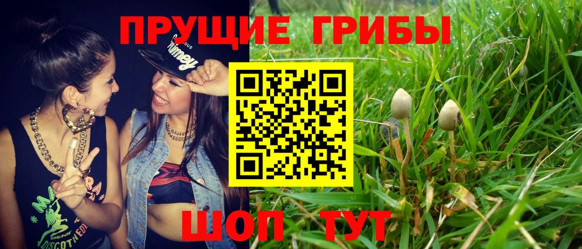 Псилоцибиновые грибы прущие грибы  Псилоцибиновые грибы Psilocybine cubensis  Вход с VPN  дарнет шоп  Новодвинск 