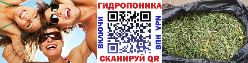 МЕГА сайт Новодвинск Шишки марихуана Ganja