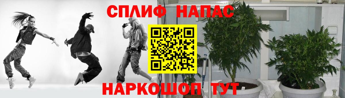 МАРИХУАНА сатива  Новодвинск  Конопля план  Шишки марихуана MAZAR 